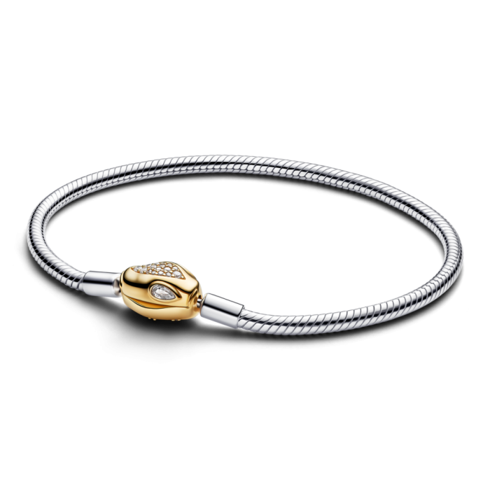 Snake Clasp & Chain Bracelet